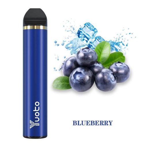 Blueberry 1500 by Yuoto 5