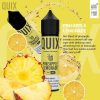 Pineapple Lemonade by Quix