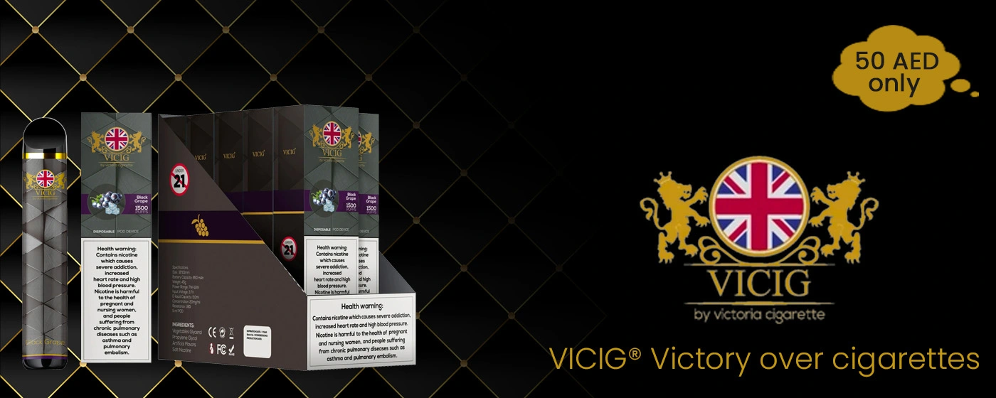 Vicig Banner Desktop