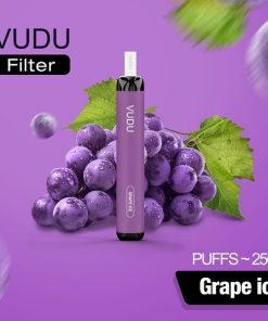Grape Ice 2500 by Vudu