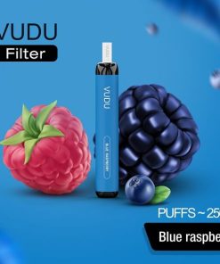 Blue Raspberry 2500 by Vudu
