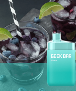 Blue Razz Ice B5000 by Geek Bar 1