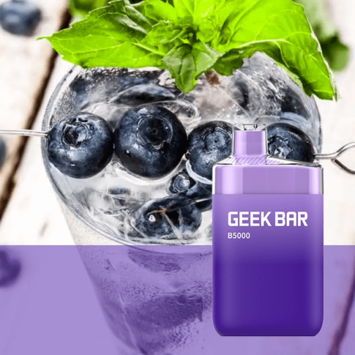 Forest Berry Ice B5000 by Geek Bar 1