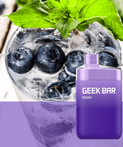 Forest Berry Ice B5000 by Geek Bar 1