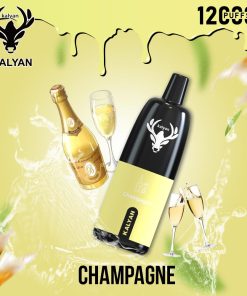 Champagne by Kalyan Pro 12000