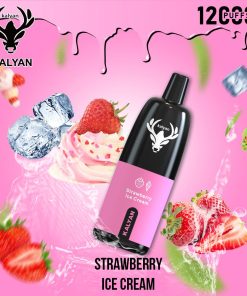 Strawberry Ice Cream by Kalyan Pro 12000