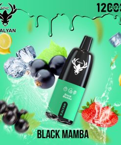 Black Mamba by Kalyan Pro 12000