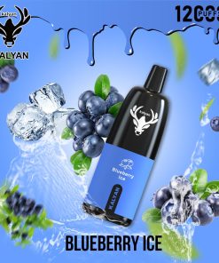 Blueberry Ice by Kalyan Pro 12000