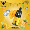 Mango Ice by Kalyan Pro 12000