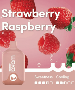 Waka Smash Strawberry Raspberry 5500 Puffs by Relx