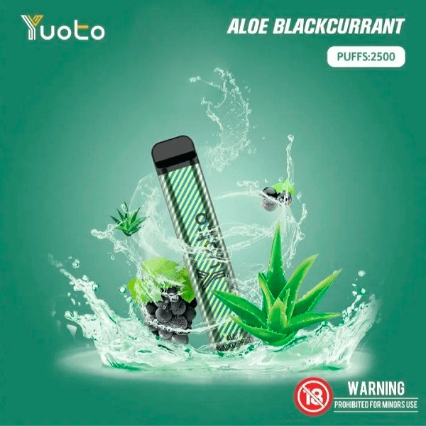 Aloe Blackcurrant by Yuoto XXL