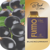 Blackcurrant Fummo King SE 6000